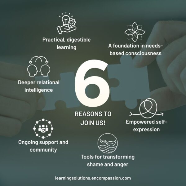 Booking Amount: Relational Intelligence: A 6 Week NVC Journey - Image 4